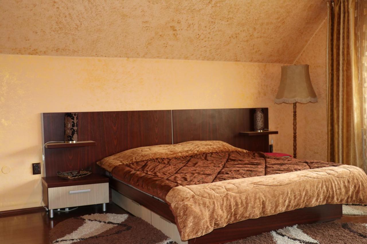 ホテル Amelia House Făgăraş エクステリア 写真