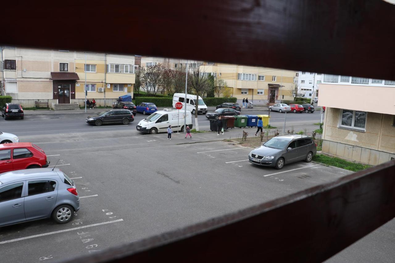 ホテル Amelia House Făgăraş エクステリア 写真