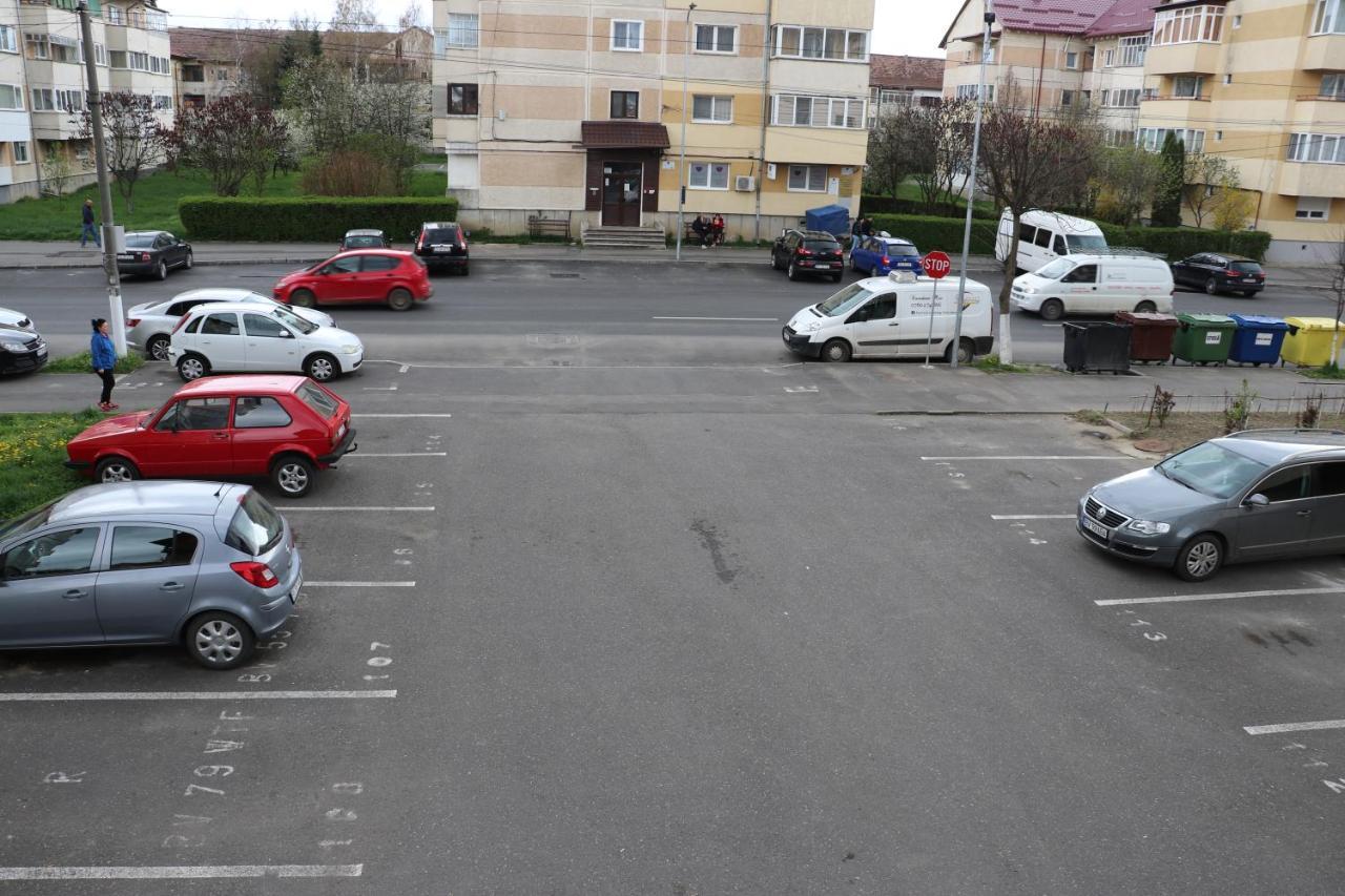 ホテル Amelia House Făgăraş エクステリア 写真