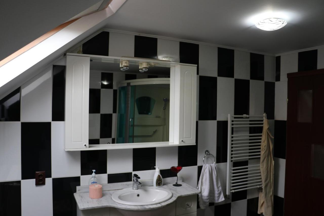 ホテル Amelia House Făgăraş エクステリア 写真