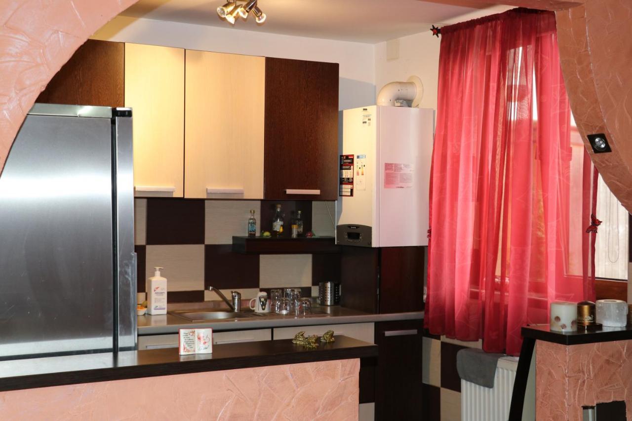 ホテル Amelia House Făgăraş エクステリア 写真