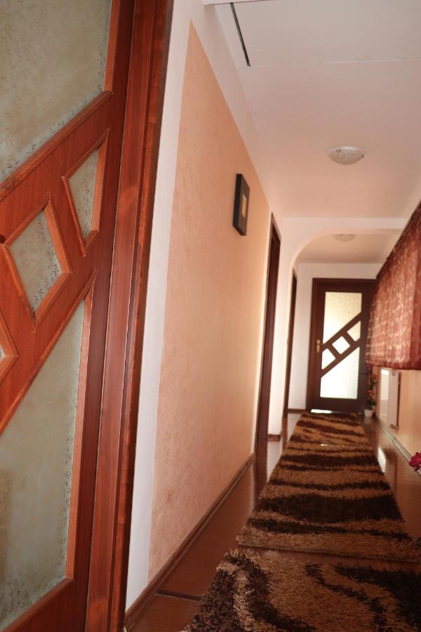 ホテル Amelia House Făgăraş エクステリア 写真