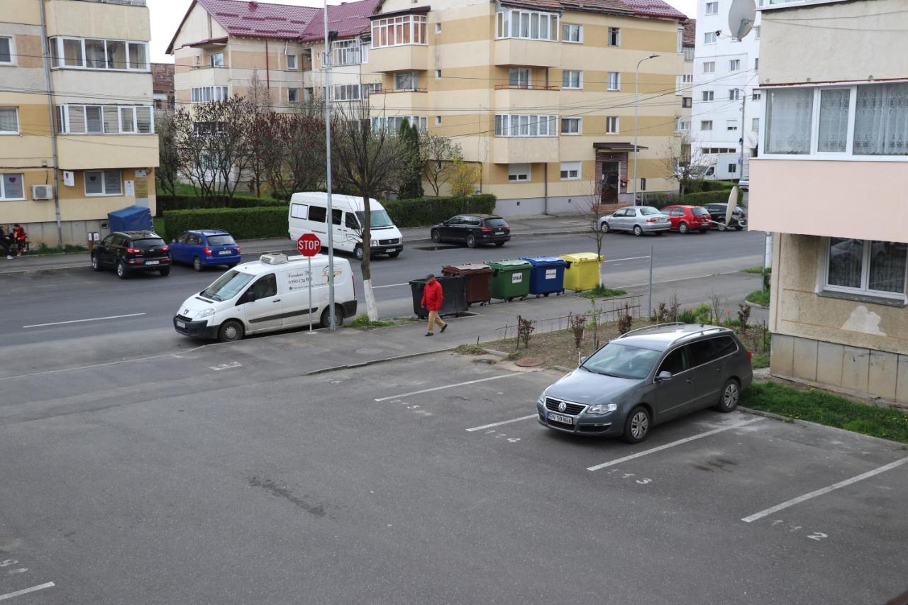 ホテル Amelia House Făgăraş エクステリア 写真