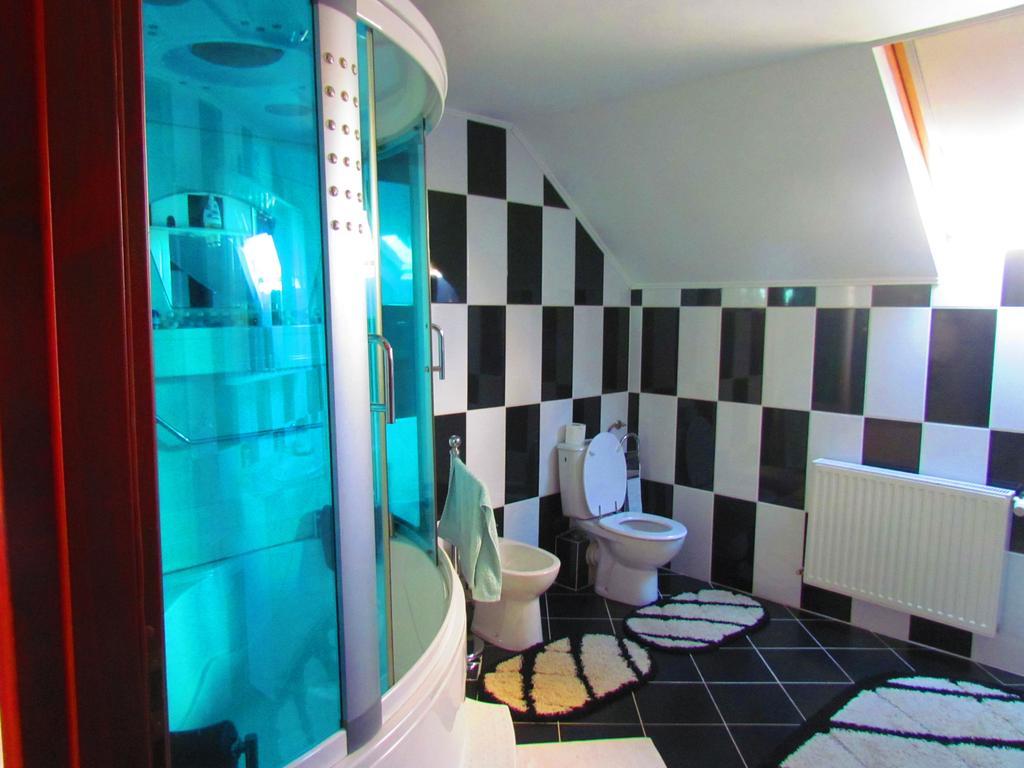 ホテル Amelia House Făgăraş エクステリア 写真